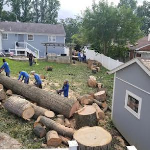 Merino Landscaping & Tree Service