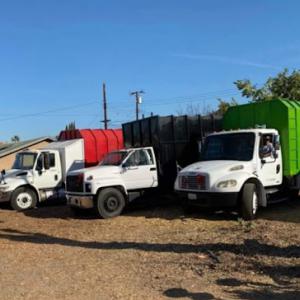 City To City Tree Enhancement Experts