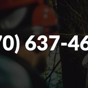 All In Tree Service of Woodstock