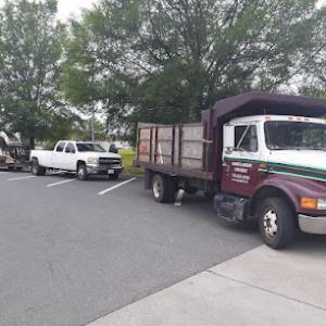 Vienna Tree Service & Landscaping