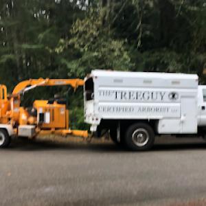 The Tree Guy Arborist