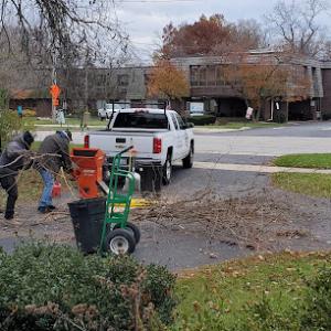 Santa Clarita Tree Service