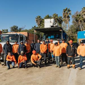 SavATree - Rancho Coastal Tree