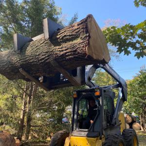 Westchester Environmental Tree Service