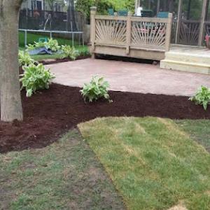 NJE Tree Service & Landscaping