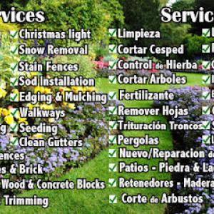 A&B Landscaping & Tree Services