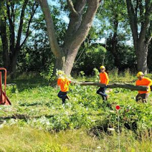 Timber Point Tree Service