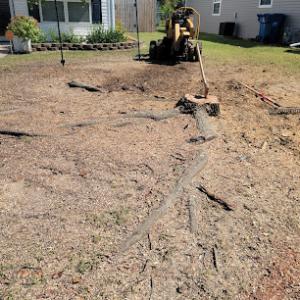 Reasonable stump removal