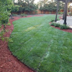Chavez Landscaping