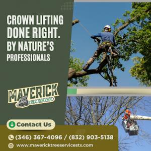 Maverick Tree Service
