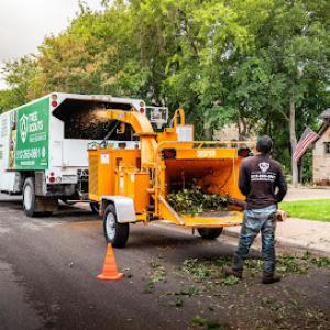 Tree Scouts Tree Service Leander
