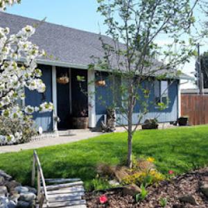 Rogue Valley Tree Care