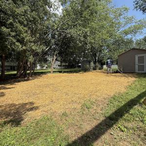 E.C Tree Service & Landscaping