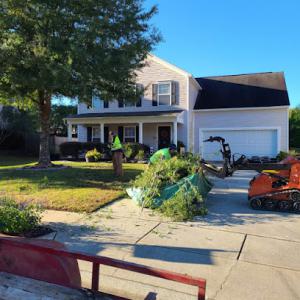 Greenleaf Tree Services