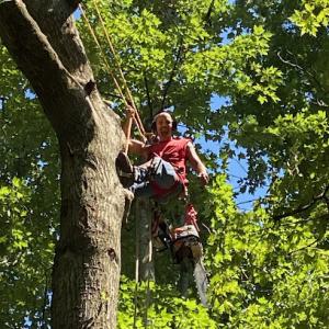 JRN Tree Services