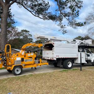 Carolina Pines Tree Company