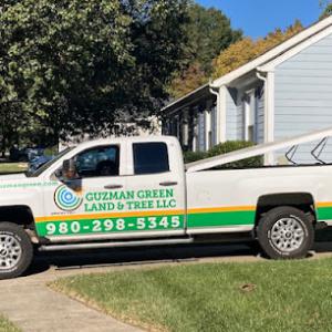 Guzman Green Land & Tree