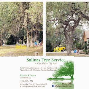 Salinas Tree Service