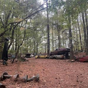 Top 2 Ground Tree Service