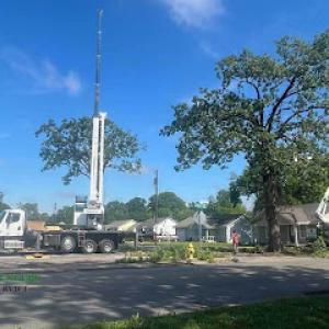 Bark Busters Tree Service