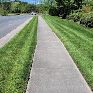 Freedom Mowers Lawn Care Service