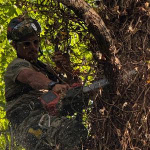 Hampton Roads Tree & Brush