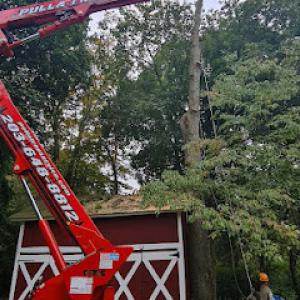 Pulla Tree Services