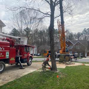 Nunnally’s Tree Service