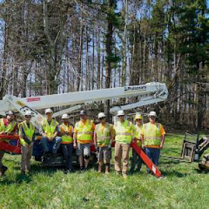 Tree Frog Tree Service