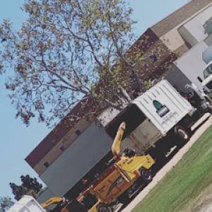 3-D Tree Services