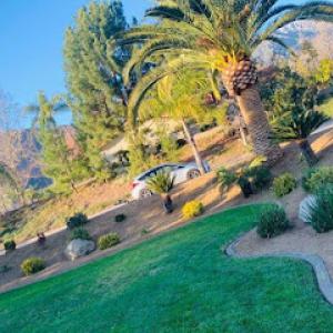 Lorenzo's Landscaping & Tree Services in Upland Ca