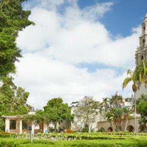 Atlas Tree Service - SavATree