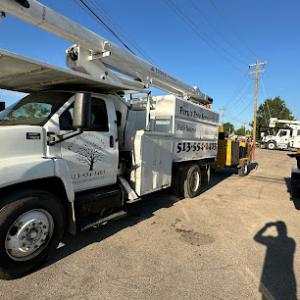Peru´s Tree Service