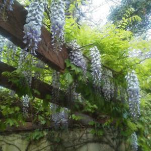 Mark Webber's Landscaping Company