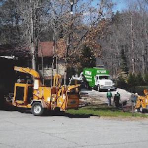 Ryan Tree Service