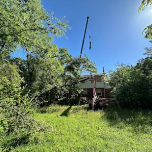 A Premier Tree Service