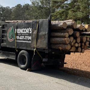 Mencor's Tree Service