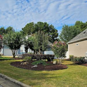 Benitez Landscaping & Tree Services