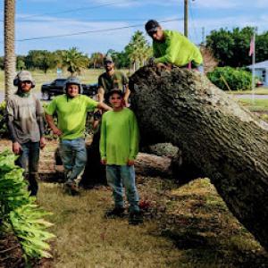 Paradise Palm Services