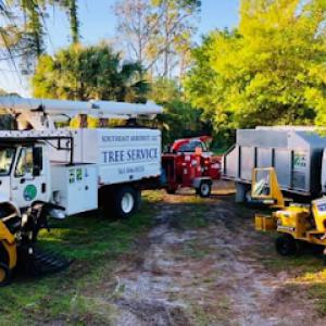 Southeast Arborist