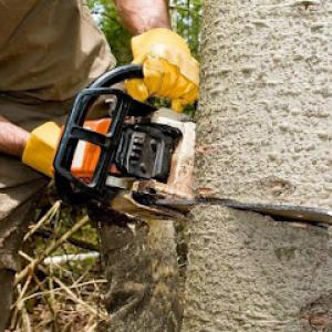 Harmony Tree Service