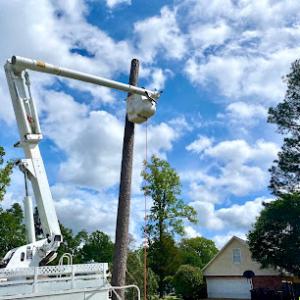 Epic Tree Service & Construction