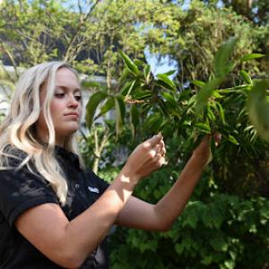 The Davey Tree Expert Company