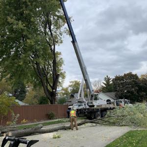LaPlante's Maintenance & Arborist