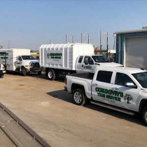 Cordova's Tree Service