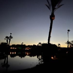 SoCal View Tree & Palm Services