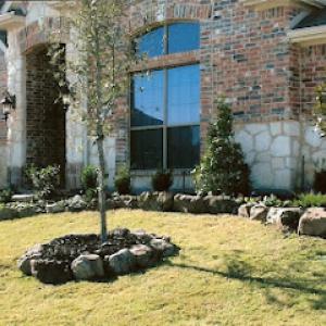 All Starr Tree & Landscape