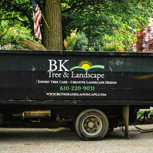 BK Tree & Landscape Service