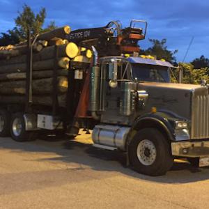 Wolff Tree & Landscape