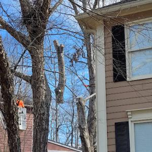 Shealey’s Property Care